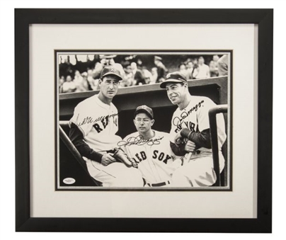 Ted Williams, Joe and Dom DiMaggio Framed and Signed Photo